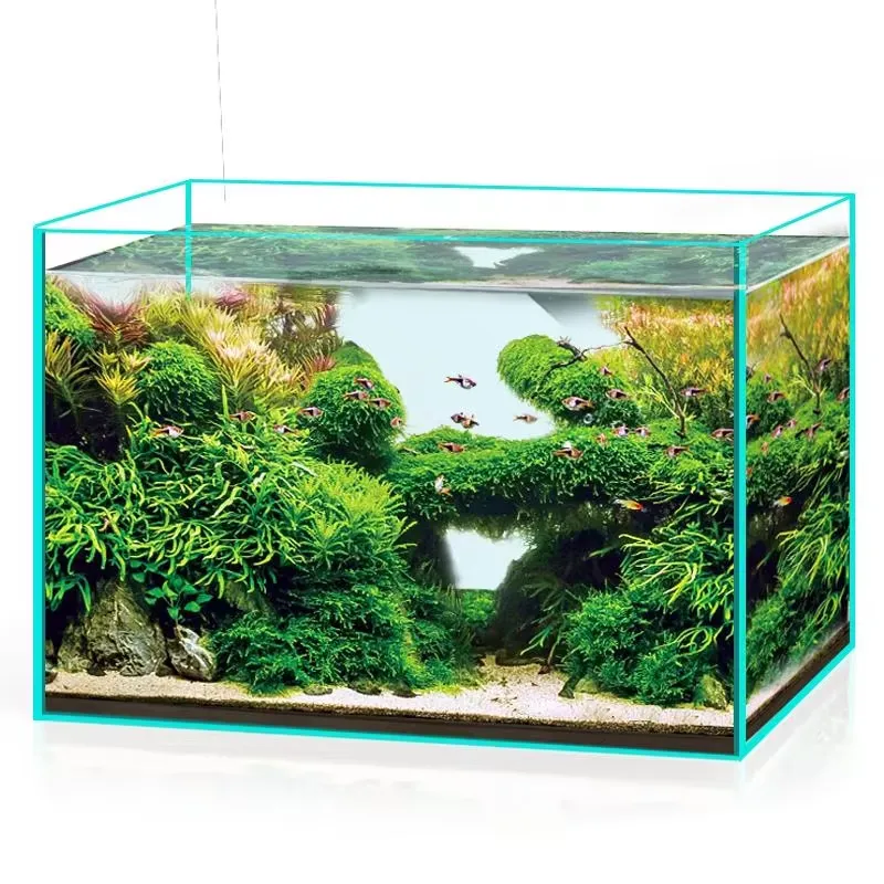 Marine Aquarium In Clearwater - Acquario in Vetro Ultra Trasparente per