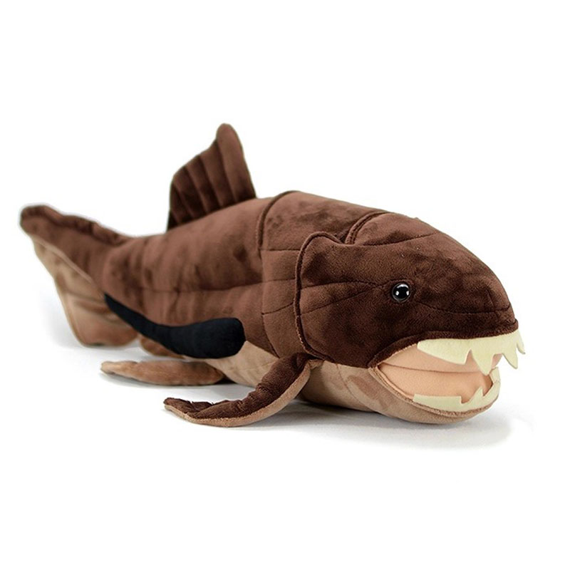Aquarium Marine Park - Dunkleosteus terrelli Dunkle Pesce Mare Oceano