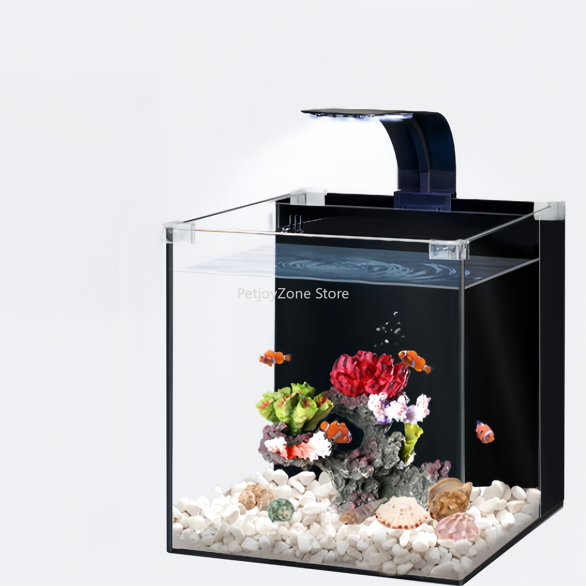 Marine Aquarium In Clearwater - Acquario marino di lusso in vetro