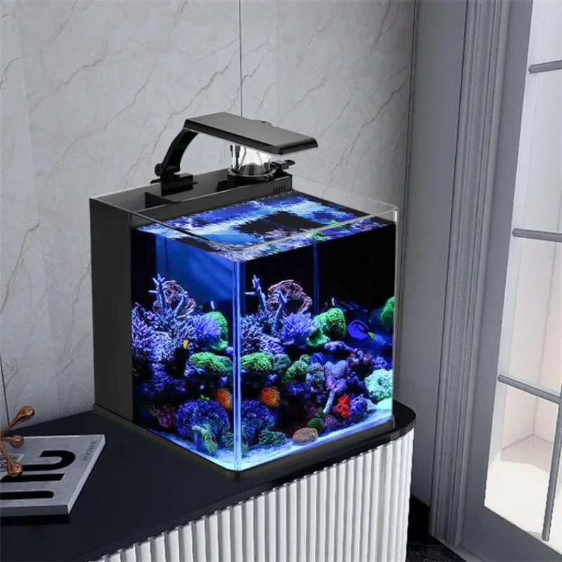 Marine Aquarium In Clearwater - Acquario Marino in Vetro Ultra Trasparente