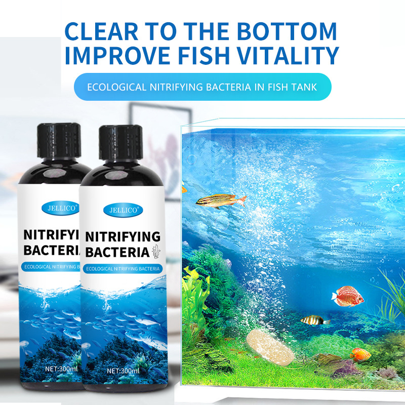 Marine Aquarium In Clearwater - Purificatore d'Acqua per Acquario con Batteri