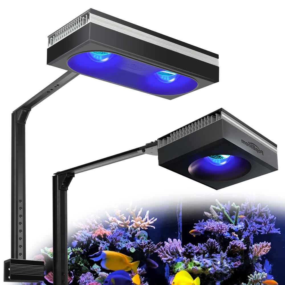 PopBloom RL90/RL180 WiFi Luce  - Marine X Aquarium recensione e prezzo