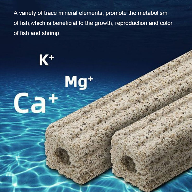 Filtro per acquario Nano Bioch - Calcium Reactor Media recensione e prezzo