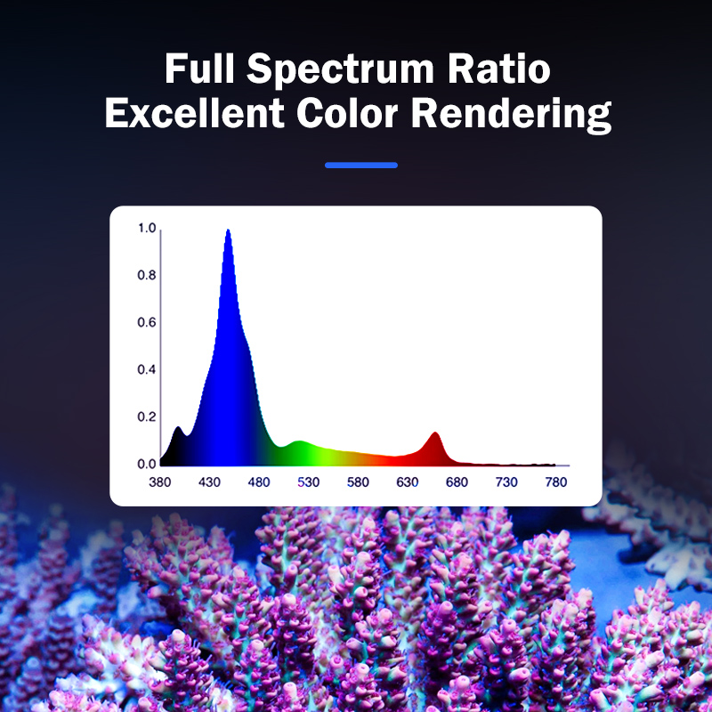 Lampada LED KASSRAY T169/T215  - Aquarium Marine recensione e prezzo