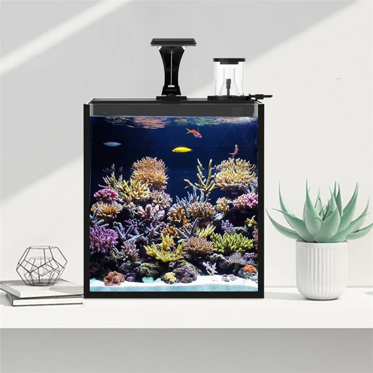 Ultimo modello di mini acquari - Marine Aquarium In Clearwater recensione e prezzo