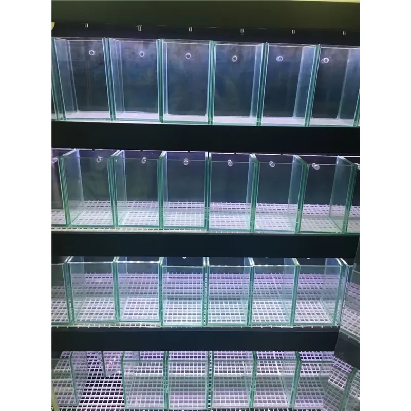 Acquario in Vetro Ultra Traspa - Marine Aquarium In Clearwater recensione e prezzo