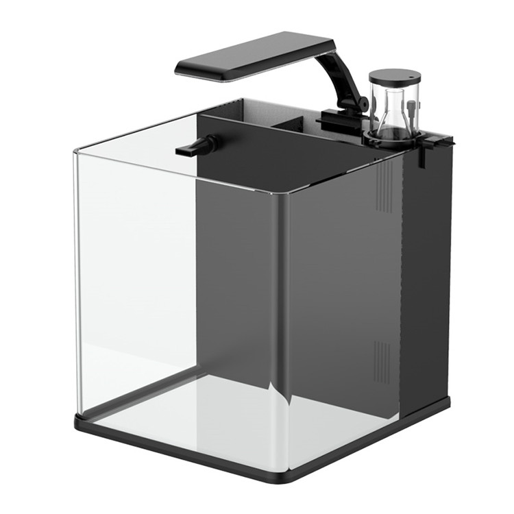 Skynuo Mini Acquario Marino in - Marine Aquarium In Clearwater recensione e prezzo
