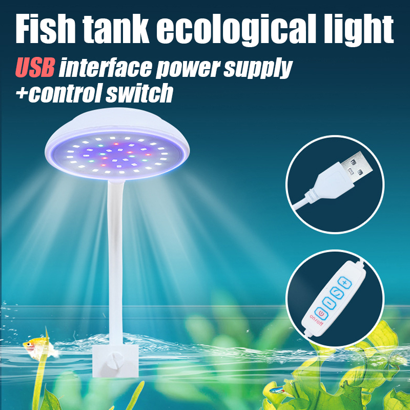USB Acquario Piccola Clip Luce - Marine Aquarium Water Change recensione e prezzo