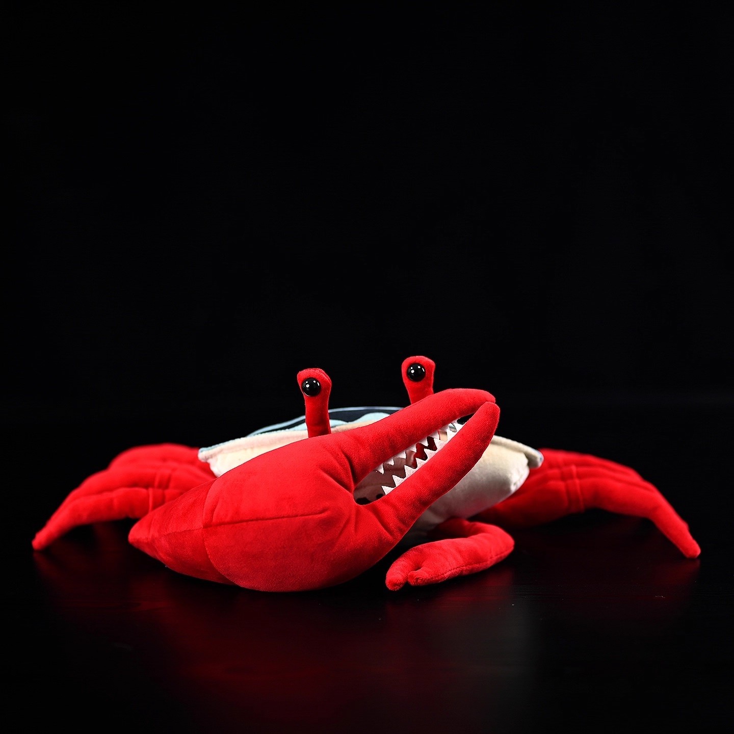 Artiglio rosso Fiddler Granchi - Aquarium Marine Park recensione e prezzo