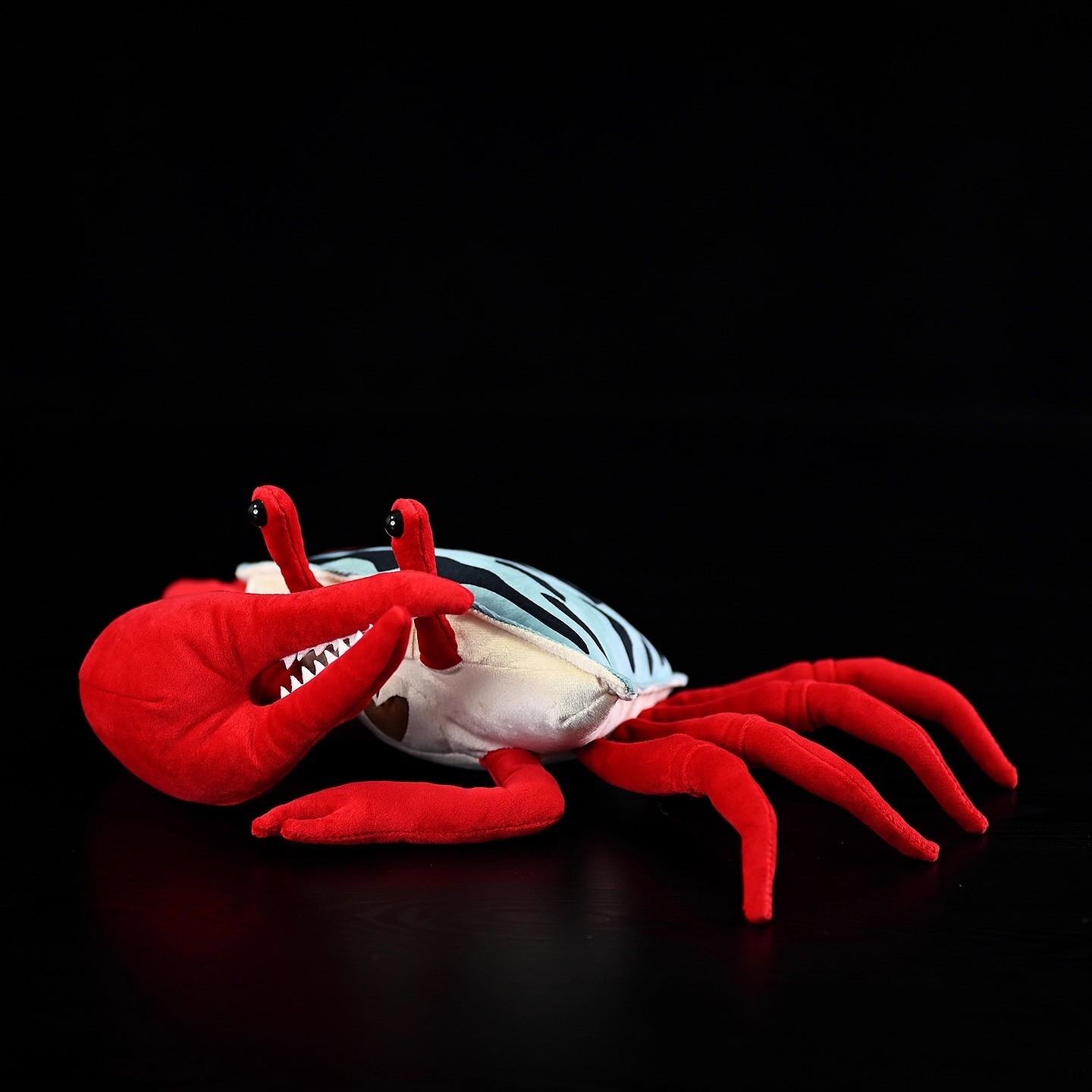 Artiglio rosso Fiddler Granchi - Aquarium Marine Park recensione e prezzo