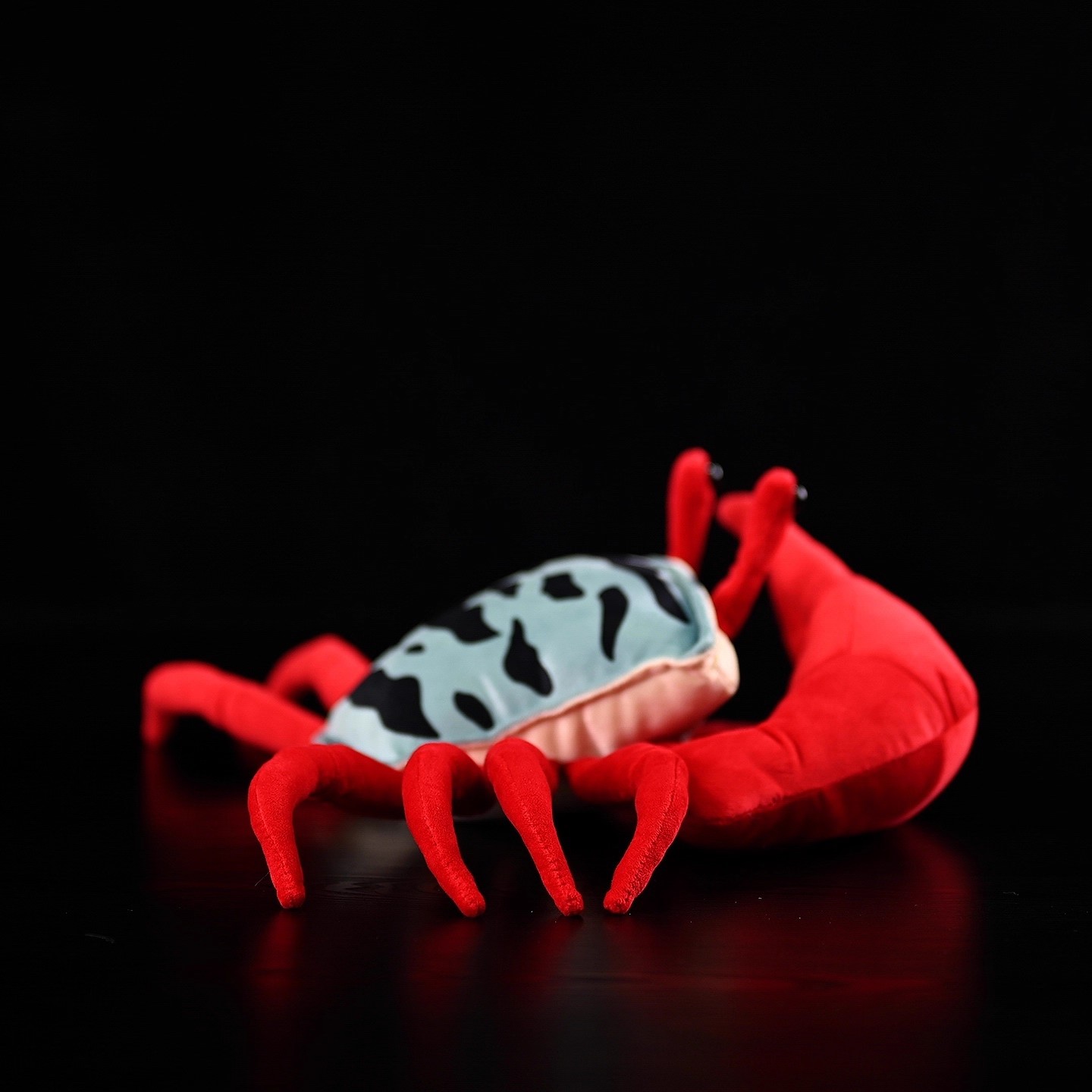 Artiglio rosso Fiddler Granchi - Aquarium Marine Park recensione e prezzo