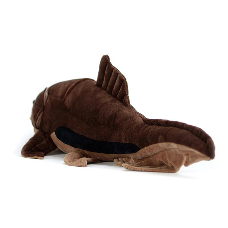 Dunkleosteus terrelli Dunkle P - Aquarium Marine Park recensione e prezzo