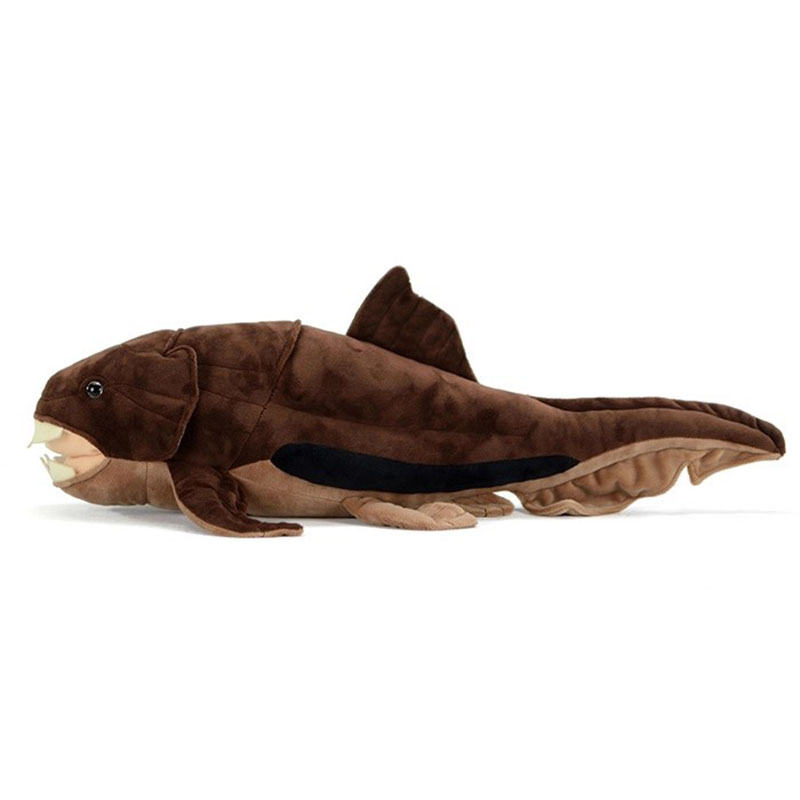 Dunkleosteus terrelli Dunkle P - Aquarium Marine Park recensione e prezzo