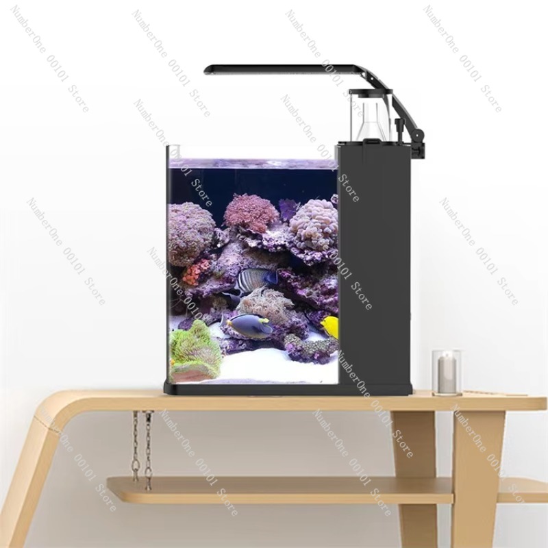 Acquario Marino in Vetro Ultra - Marine Aquarium In Clearwater recensione e prezzo