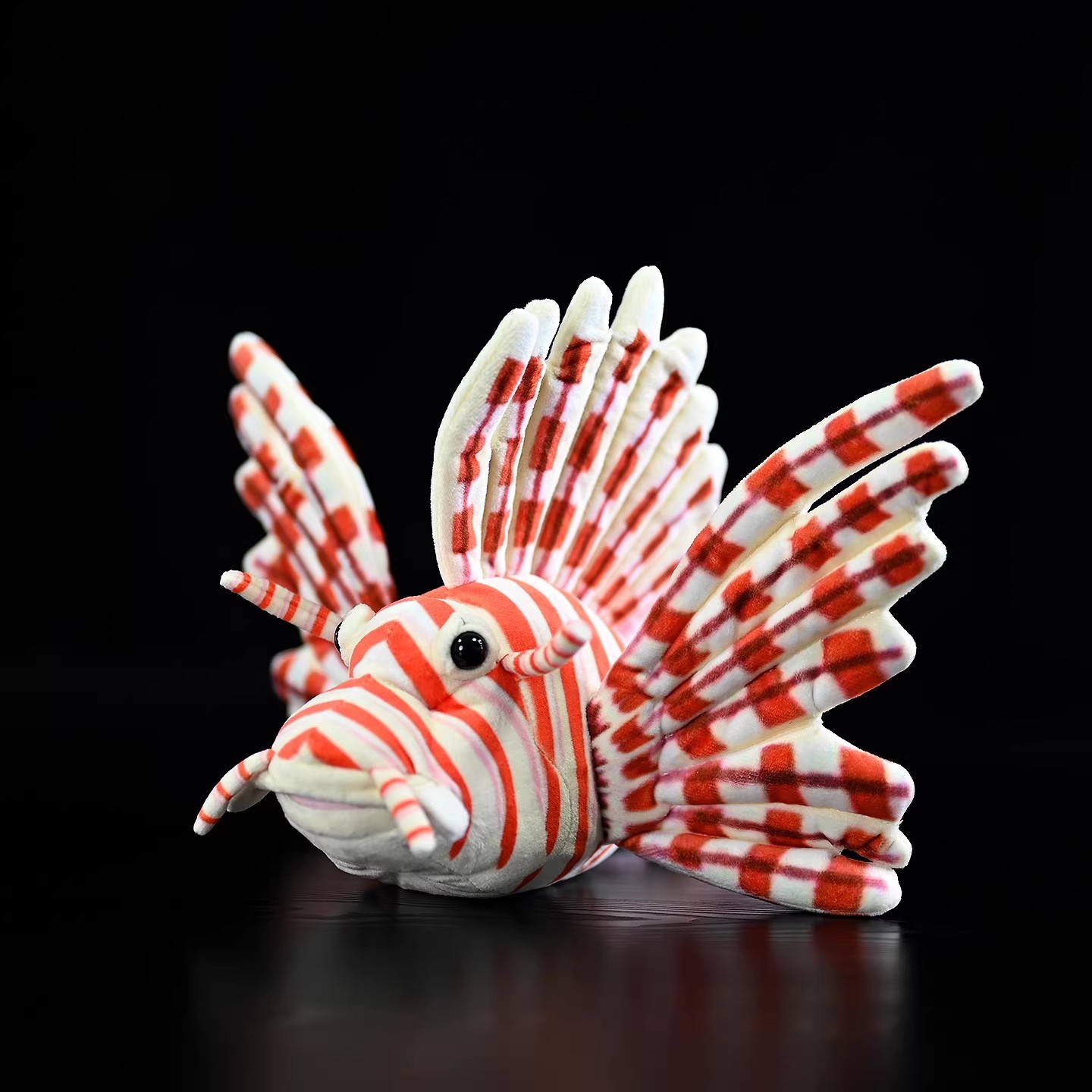Pterois Volitani Barriera cora - Aquarium Marine Park recensione e prezzo