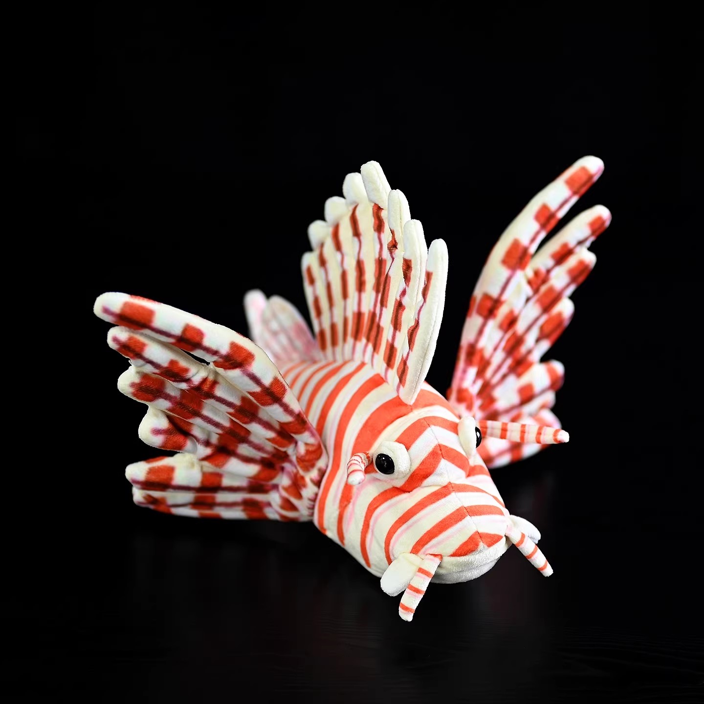 Pterois Volitani Barriera cora - Aquarium Marine Park recensione e prezzo