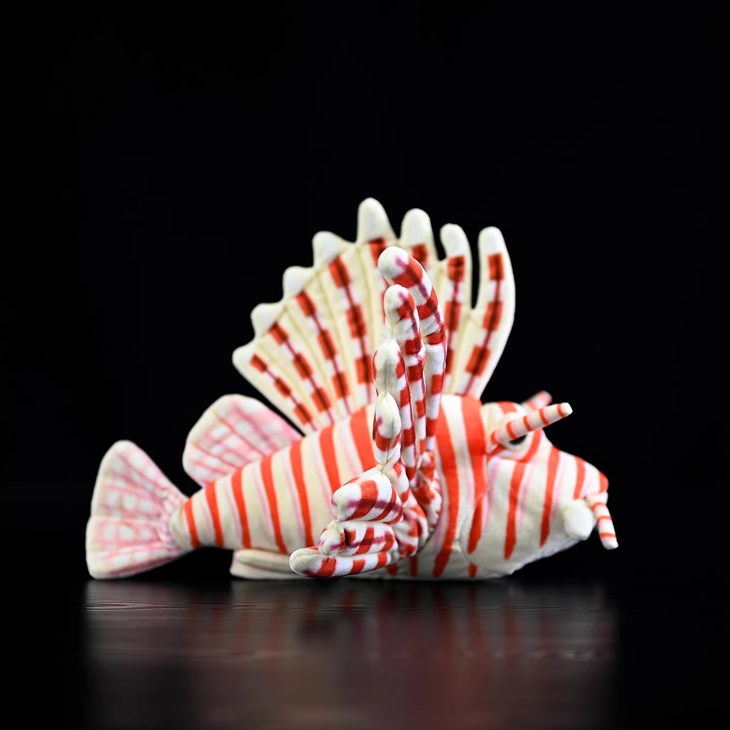 Pterois Volitani Barriera cora - Aquarium Marine Park recensione e prezzo