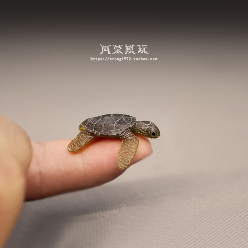 Vita marina tartaruga marina m - Marine Aquarium Japan recensione e prezzo