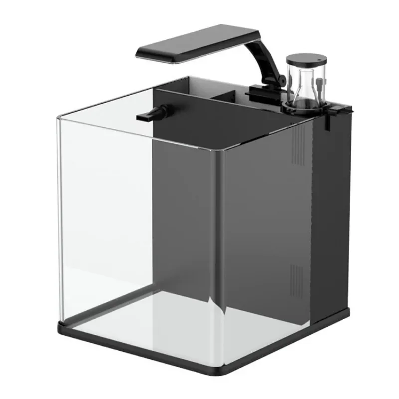 Acquario Marino in Vetro Ultra - Marine Aquarium In Clearwater recensione e prezzo