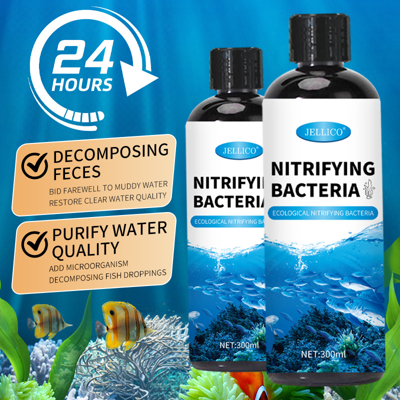 Purificatore d'Acqua per Acqua - Marine Aquarium In Clearwater recensione e prezzo