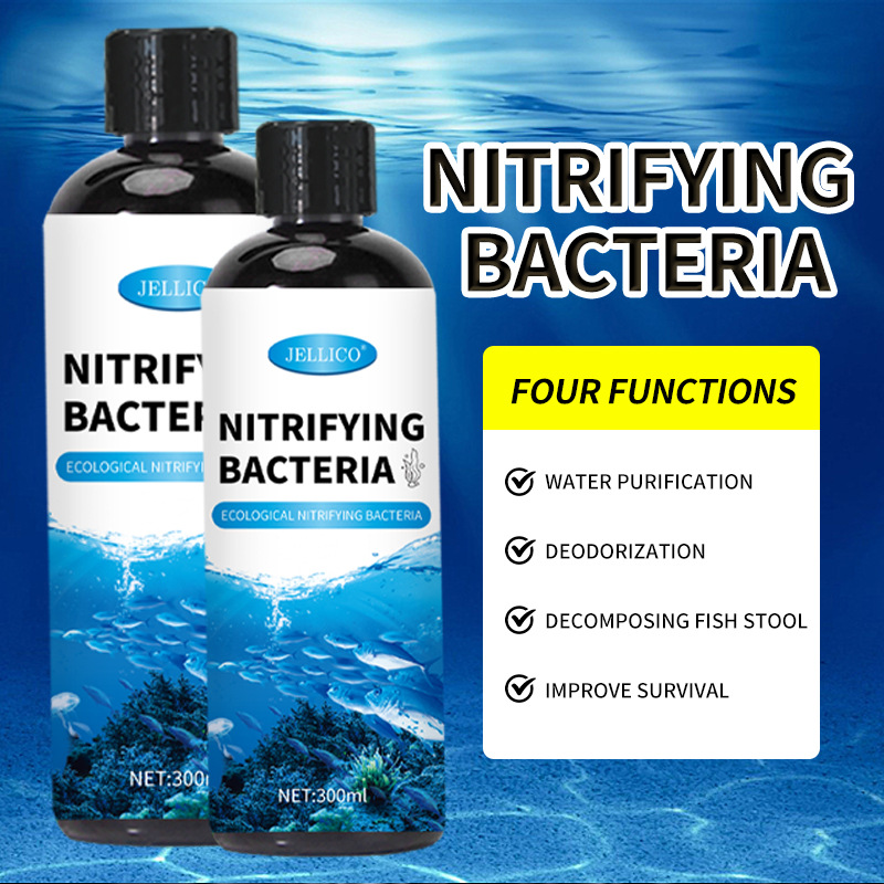 Purificatore d'Acqua per Acqua - Marine Aquarium In Clearwater recensione e prezzo