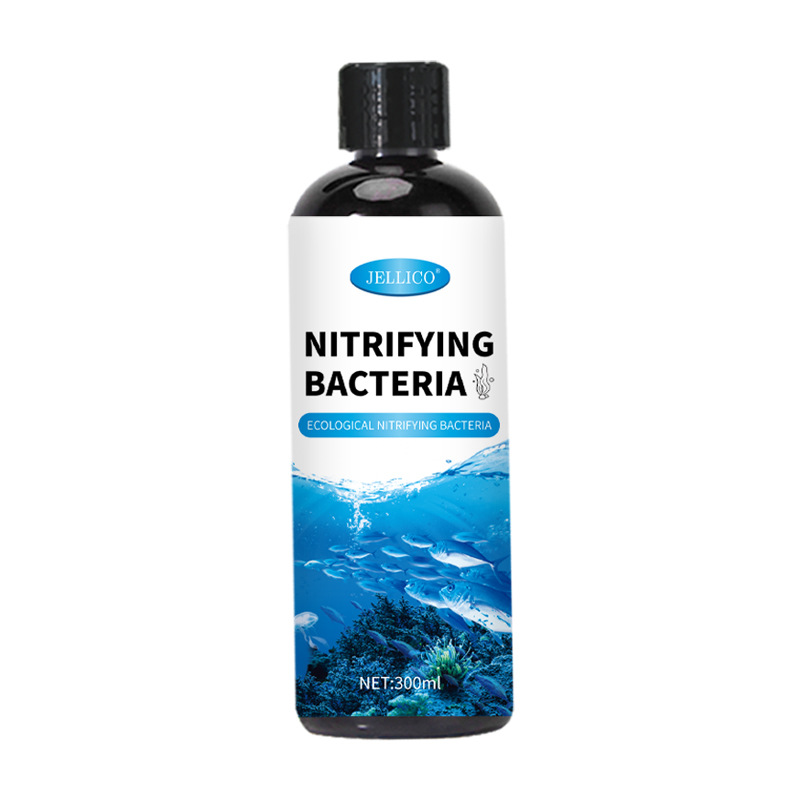Purificatore d'Acqua per Acqua - Marine Aquarium In Clearwater recensione e prezzo