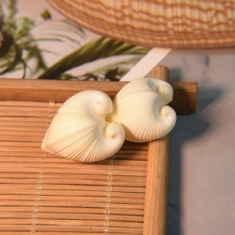 Conchiglia di cardio cardissa  - Aquarium Marine recensione e prezzo