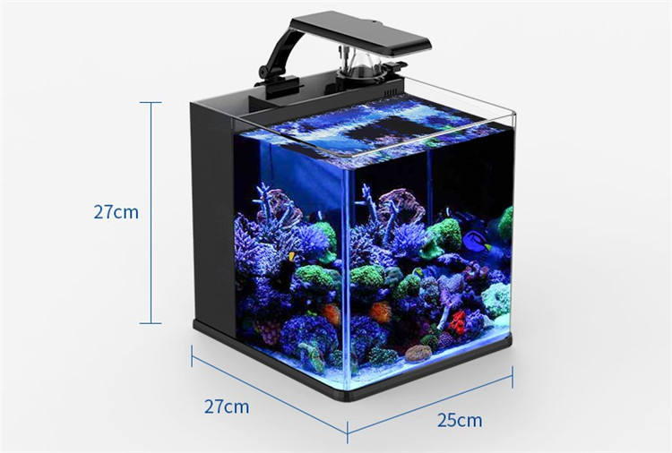 Mini Acquario Marino in Vetro  - Marine Aquarium In Clearwater recensione e prezzo