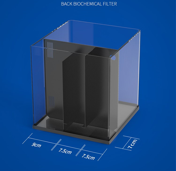 Mini Acquario Marino in Vetro  - Marine Aquarium In Clearwater recensione e prezzo