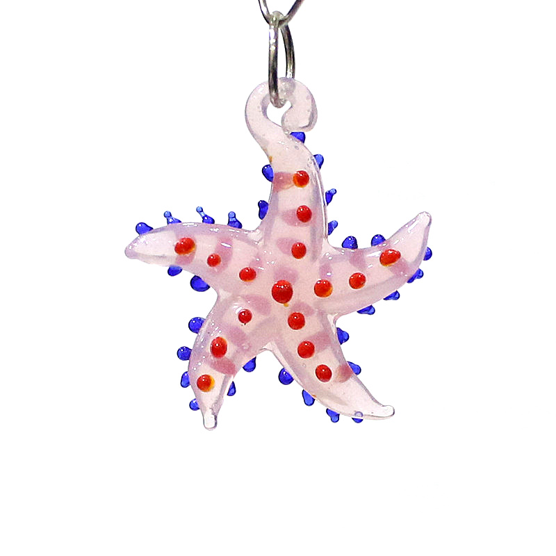 Animali marini carini, fascino - Aquarium Marine recensione e prezzo