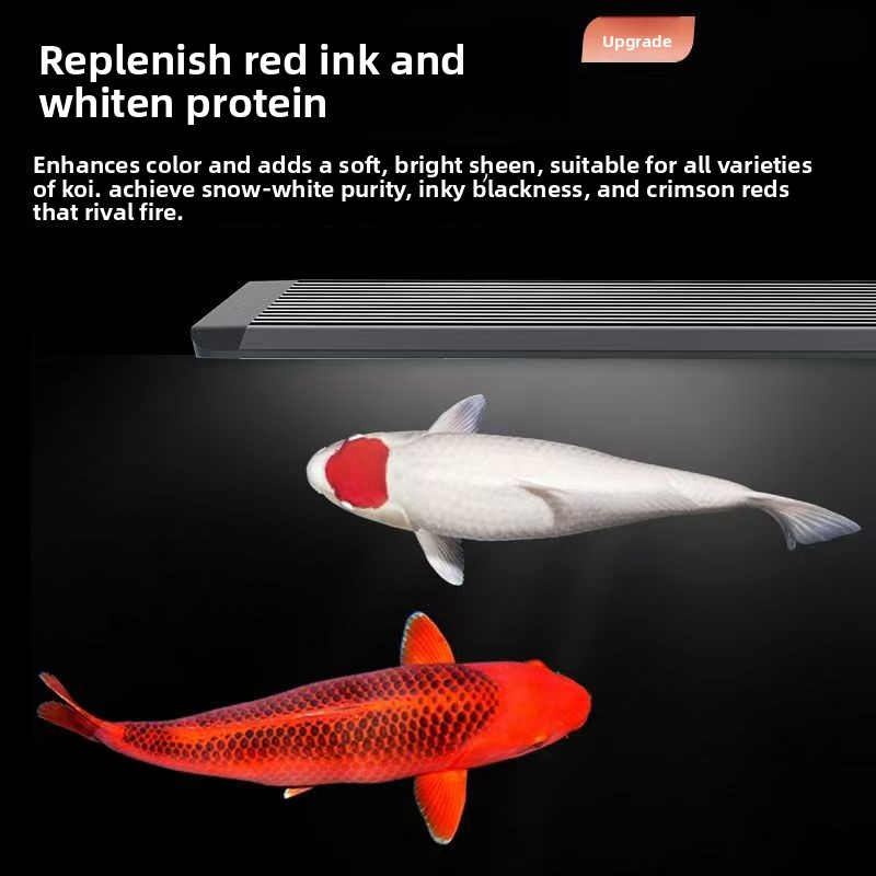 Lampada LED per Acquario con S - Marine Aquarium In Clearwater recensione e prezzo