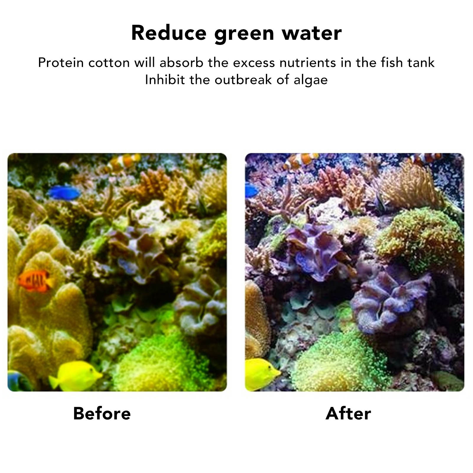 Resina per filtro per pesci Re - Marine Aquarium Water Change recensione e prezzo