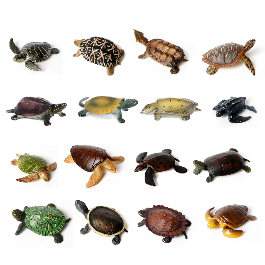 Miniature realistiche vita mar - Aquarium Marine recensione e prezzo